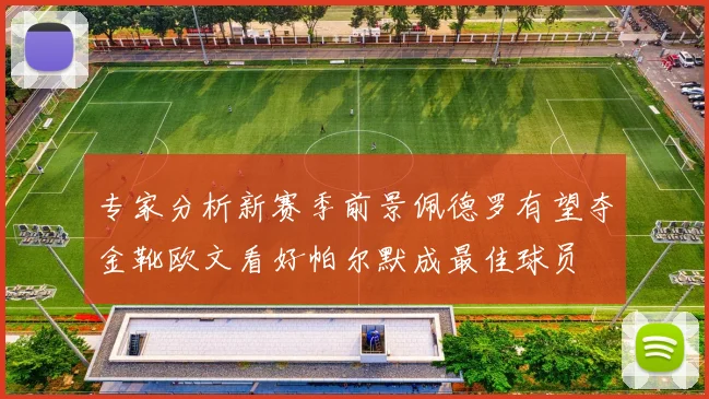 专家分析新赛季前景佩德罗有望夺金靴欧文看好帕尔默成最佳球员